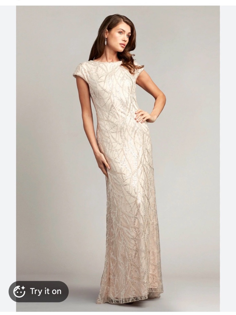 Tadashi Shoji Linnea Beaded Tulle Gown Blush Beaded Maxi Gown
